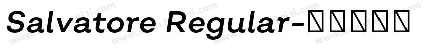 Salvatore Regular字体转换
